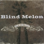 Blind Melon - Soak The Sin (Live) (Oct. 11, 1995)