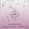 Jungle (Shallou Remix) - Single album lyrics, reviews, download