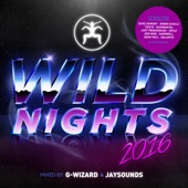 G-Wizard - Wild Nights 2016 Continuous Mix 1