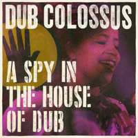Dub Colossus - A Spy in the House of Dub artwork