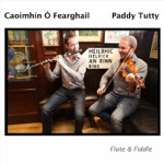 Paddy Tutty & Caoimhin O Fearghail - Connie in the Pool / The Gortnatubrid