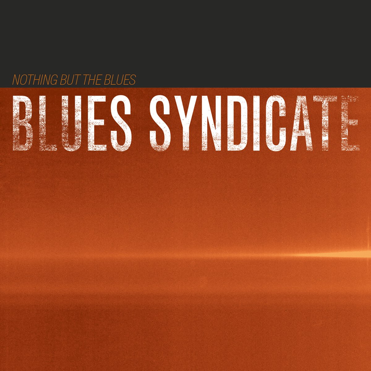 Nothing but blues. Blues Syndicate. Black Paris Blues. 1977 - Nothing' but the Blues. Nothin' but the Blues(NM/NM).