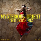 Mysterious Orient Tech House Mix, Vol. 01 (Compiled and Mixed by Deep Dreamer) artwork