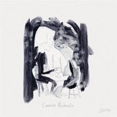 Connan Mockasin - Forever Dolphin Love