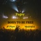 Born to Be Free (feat. JC Flow & Madchild) - Fogey lyrics