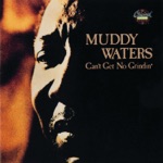 Muddy Waters - Whiskey No Good