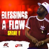 Blessings a Flow artwork