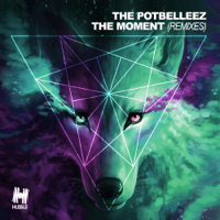 The Potbelleez