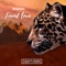 Found Love (Vinylsurfer Remix) - Branzei lyrics