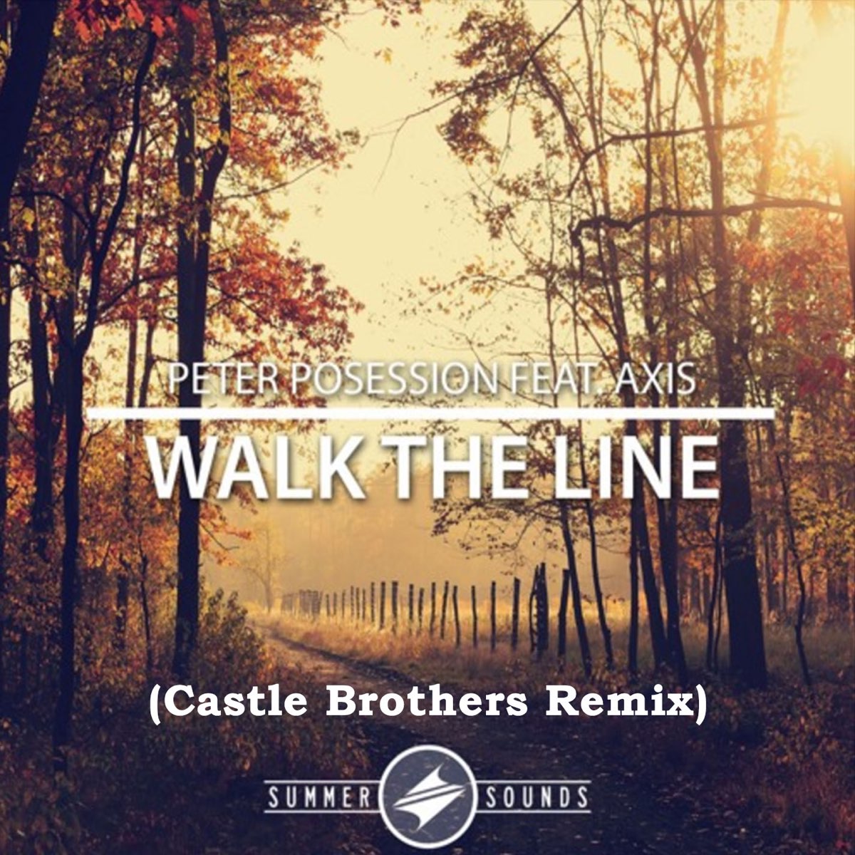 Brother ремикс. Walk песня. Brother Remix.