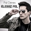 Pál Dénes - Élessz fel