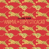 Animal de Domesticação artwork