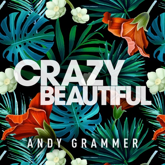 Cover artwork for Crazy Beautiful