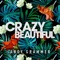 Crazy Beautiful - Andy Grammer lyrics