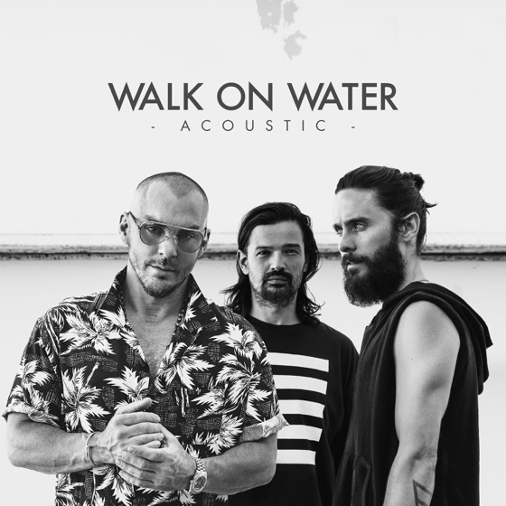 Cover artwork for Walk on Water