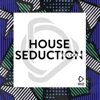 House Seduction, Vol. 3