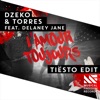 Dzeko & Torres - L'amour toujours (feat. Delaney Jane)