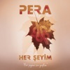 Her Şeyim - Single