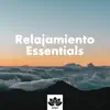 Relajamiento Essentials - Una Colleción de las Mejores Canciones Relajantes para Restaurantes, Hoteles, Spa y Centros de Bienestar album lyrics, reviews, download