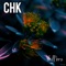 Chk - chill brz lyrics