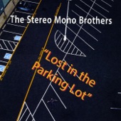 Stereo Mono Brothers - The Greasy Chicken