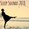 Meditation Groove - Restful Sleep Academy lyrics