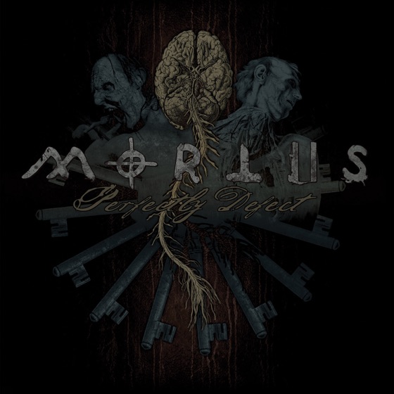 Cover artwork for Perfectly Defect
