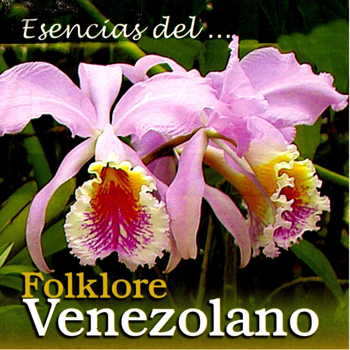 Esencias del Folklore Venezolano by Grupo Ceiba on Apple Music