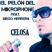 Celosa (feat. Diego Herrera) artwork