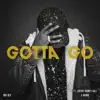 Gotta Go (feat. Jeremy Rodney-Hall & Wande) - Single album lyrics, reviews, download