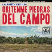 Grítenme Piedras Del Campo (En Vivo Desde La Ciudad De México, 2017) artwork