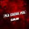 Pla cacha pla - Dj Alan lyrics