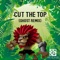 Cut the Top (DeeJay Ghost Remix) - Deejay Ghost lyrics