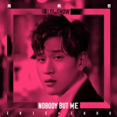 Nobody but Me (LOL Show) artwork