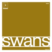 Maston - Swans