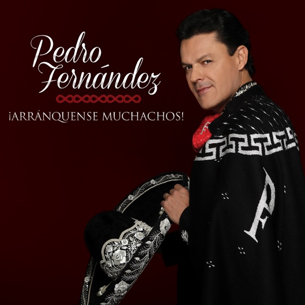 Pedro Fernández - Me Enamoré de una Mujer Casada