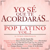 Yo Sé Que Te Acordarás - Pop Latino, Vol. 2 artwork