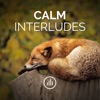Calm Interludes