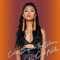 Calm Before the Storm by Che'Nelle album reviews, ratings, credits