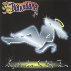 Angels Live in My Town - Belvedere