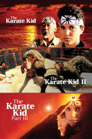 Sony Pictures Entertainment - KARATE KID TRILOGY artwork