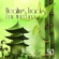 Chakra Balancing - Chriss Aum