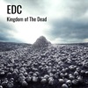 Kingdom of the Dead - Single