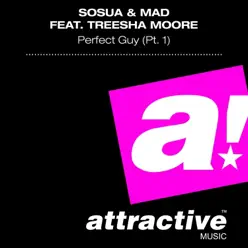 Perfect Guy, Pt. 1 (feat. Treesha Moore) [Remixes] - Mad
