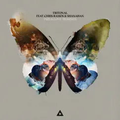 This Is Love (Remixes) - Single by Tritonal, Chris Ramos & Shanahan album reviews, ratings, credits