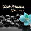 Relaxation Guru - Mind Body Connection - Sounds of Nature