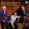 Johannes Brahms: Viola Sonatas Op. 120, Nos. 1 & 2; Trio, Op. 114 album lyrics, reviews, download