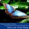 Healing Sounds of Nature: Tropical Rainforest (Waterfall and Crickets) album lyrics, reviews, download