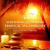 50 Soothing & Calming Spa Ambience: Pure Nature Sounds, Wellness Center Healing Massage, Inner Peace, Relaxation Meditation, Reiki Massage Music album lyrics, reviews, download
