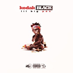 Kodak Black - Too Many Years (feat. PnB Rock)